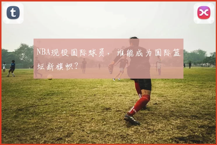 NBA现役国际球员，谁能成为国际篮坛新旗帜？