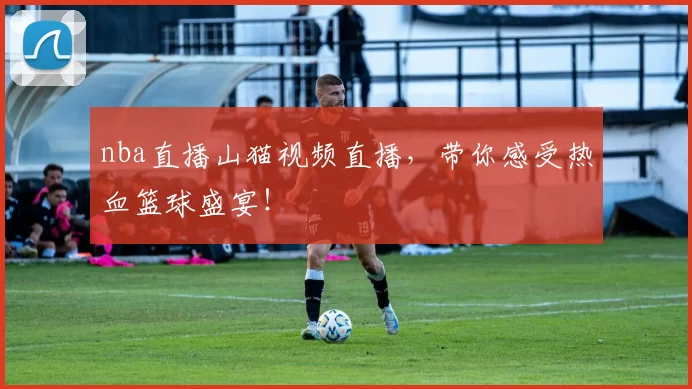 nba直播山猫视频直播，带你感受热血篮球盛宴！