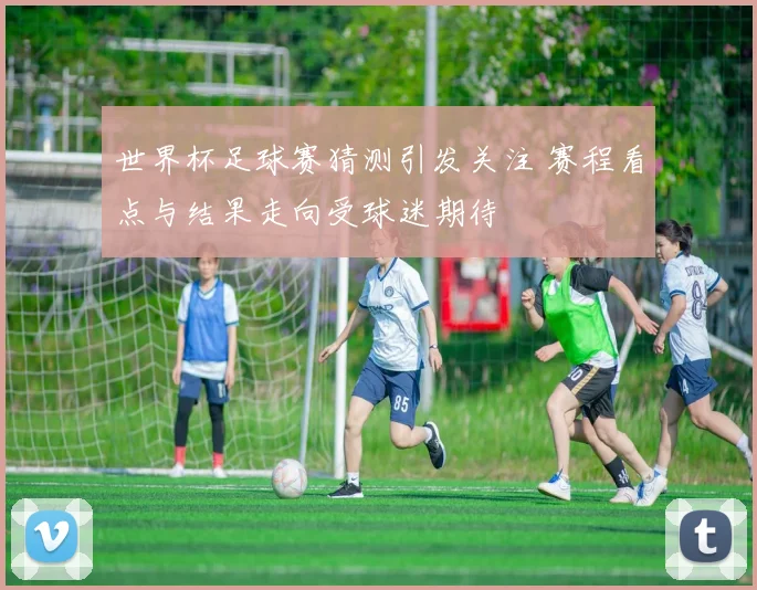 世界杯足球赛猜测引发关注 赛程看点与结果走向受球迷期待